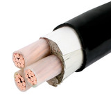 DJFVP-19*2*1.5mm²DJFVP氟塑料耐高温屏蔽电缆