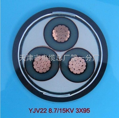 YJV铜芯,YJLV铝芯电力电缆